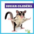 Cover: Sugar Gliders - Bullfrog Books