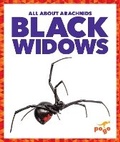 Cover: Black Widows - Pogo Books
