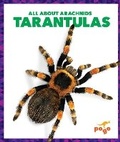 Cover: Tarantulas - Pogo Books