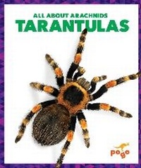 Enlarge image Cover: Tarantulas - Pogo Books