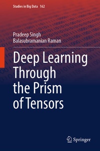 Enlarge image Cover: Deep Learning Through the Prism of Tensors - Springer