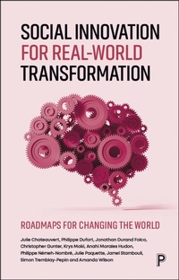 Abbildung von: Social Innovation for Real-World Transformation - Policy Press