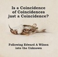 Cover: Is a Coincidence of Coincidences just a Coincidence? Following Edward A Wilson into the Unknown - Reardon Publishing