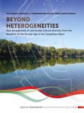 Cover: Beyond heterogeneities - Sidestone Press