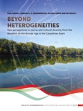Cover: Beyond heterogeneities - Sidestone Press