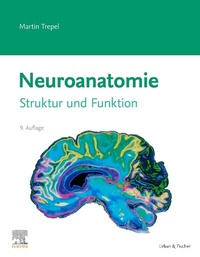 Abbildung von: Neuroanatomie - Urban & Fischer