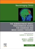 Cover: The Subarachnoid Space: Percutaneous Access for Diagnosis and Image-Guided therapies, An Issue of Neuroimaging Clinics of North America: Volume 35-1 - Churchill Livingstone