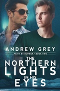Cover: Northern Lights in His Eyes - Dreamspinner Press