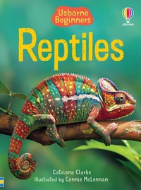 Enlarge image Cover: Reptiles - Usborne Publishing Ltd