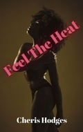 Cover: Feel The Heat (Southern Loving) - Cheris Hodges