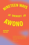 Cover: Nineteen Ways of Looking at Awono - Bakwa Books