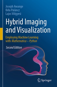 Abbildung von: Hybrid Imaging and Visualization - Springer