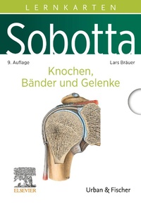 Abbildung von: Sobotta Lernkarten Knochen, Bänder und Gelenke - Elsevier