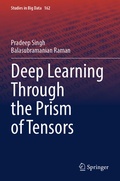 Cover: Deep Learning Through the Prism of Tensors - Springer