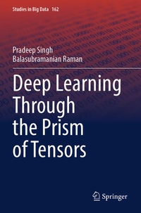 Enlarge image Cover: Deep Learning Through the Prism of Tensors - Springer