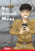 Cover: No Small Mess - Teacher Created Materials