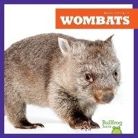 Enlarge image Cover: Wombats - Bullfrog Books