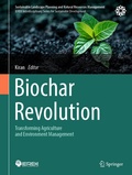 Cover: Biochar Revolution - Springer