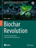 Cover: Biochar Revolution - Springer