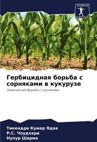 Enlarge image Cover: ??????????? ?????? ? ????????? ? ???????е - Sciencia Scripts