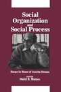 Cover: Social Organization and Social Process - Routledge