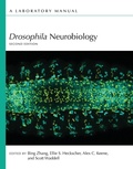 Cover: Drosophila Neurobiology: A Laboratory Manual, Second Edition - Cold Spring Harbor Laboratory Press