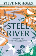 Cover: Steel River - Apollo