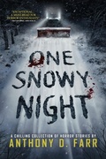 Cover: One Snowy Night - Velox Books