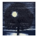 Cover: Ann Craven: Night - Karma