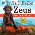 Cover: Zeus - Tantor Audio