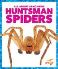 Cover: Huntsman Spiders - Pogo Books