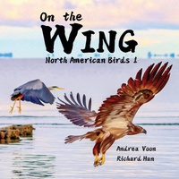 Abbildung von: On the Wing - North American Birds 1 - Hei Greenhouse Studio