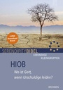 Cover: Hiob - Brunnen Verlag GmbH