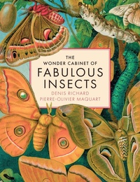 Abbildung von: The Wonder Cabinet of Fabulous Insects - Abrams