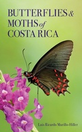 Cover: Butterflies and Moths of Costa Rica - Comstock Publishing Associates