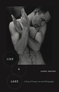 Cover: Like a Lake - Fordham University Press