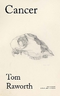 Enlarge image Cover: Cancer - Lives and Letters