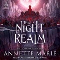 Cover: The Night Realm - Tantor Audio