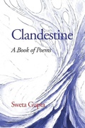 Cover: Clandestine - Information Age Publishing