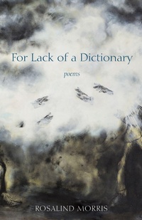 Enlarge image Cover: For Lack of a Dictionary - Fordham University Press