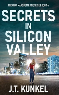 Enlarge image Cover: Secrets in Silicon Valley - Next Chapter