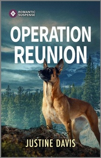 Enlarge image Cover: Operation Reunion - Harlequin Romantic Suspense