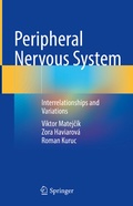 Abbildung von: Peripheral Nervous System - Springer