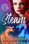 Cover: Steam (Triple Trouble, #0.6) - Lesli Richardson