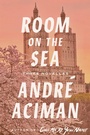 Cover: Room on the Sea - Farrar, Straus and Giroux