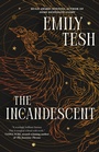 Cover: The Incandescent - St Martin's Press