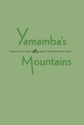 Cover: Yamamba's Mountains - atboshmedia