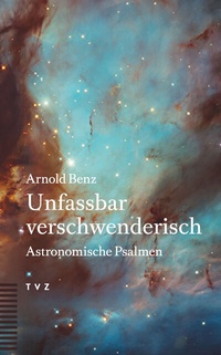 Abbildung von: Unfassbar verschwenderisch - Theologischer Verlag Zürich