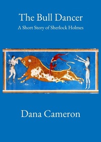 Enlarge image Cover: The Bull Dancer - DCLE Publishing LLC