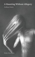 Cover: A Haunting Without Allegory - Broken Sleep Books